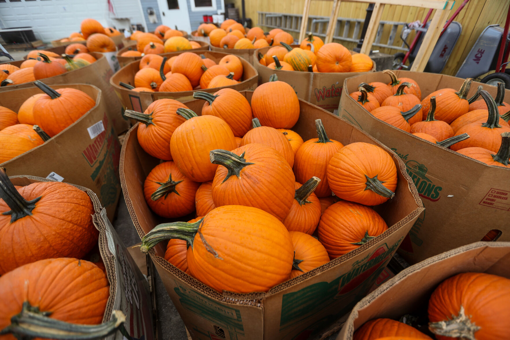 20240923_hd_pumpkinhouse
